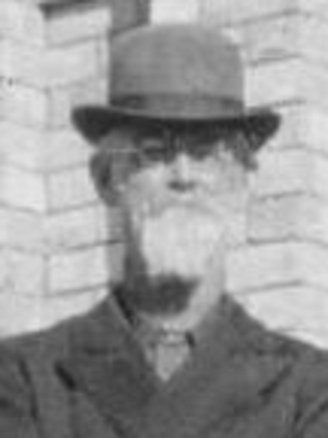 William David Wimmer (1833 - 1899) Profile